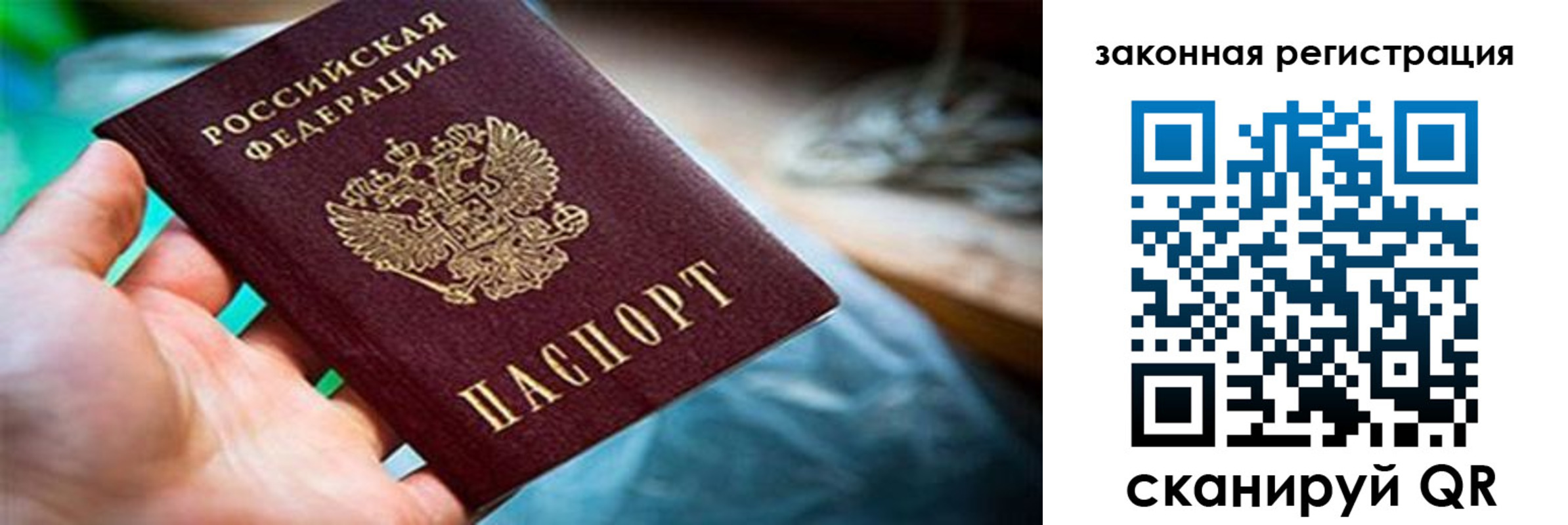 прописка для школы в Домодедово